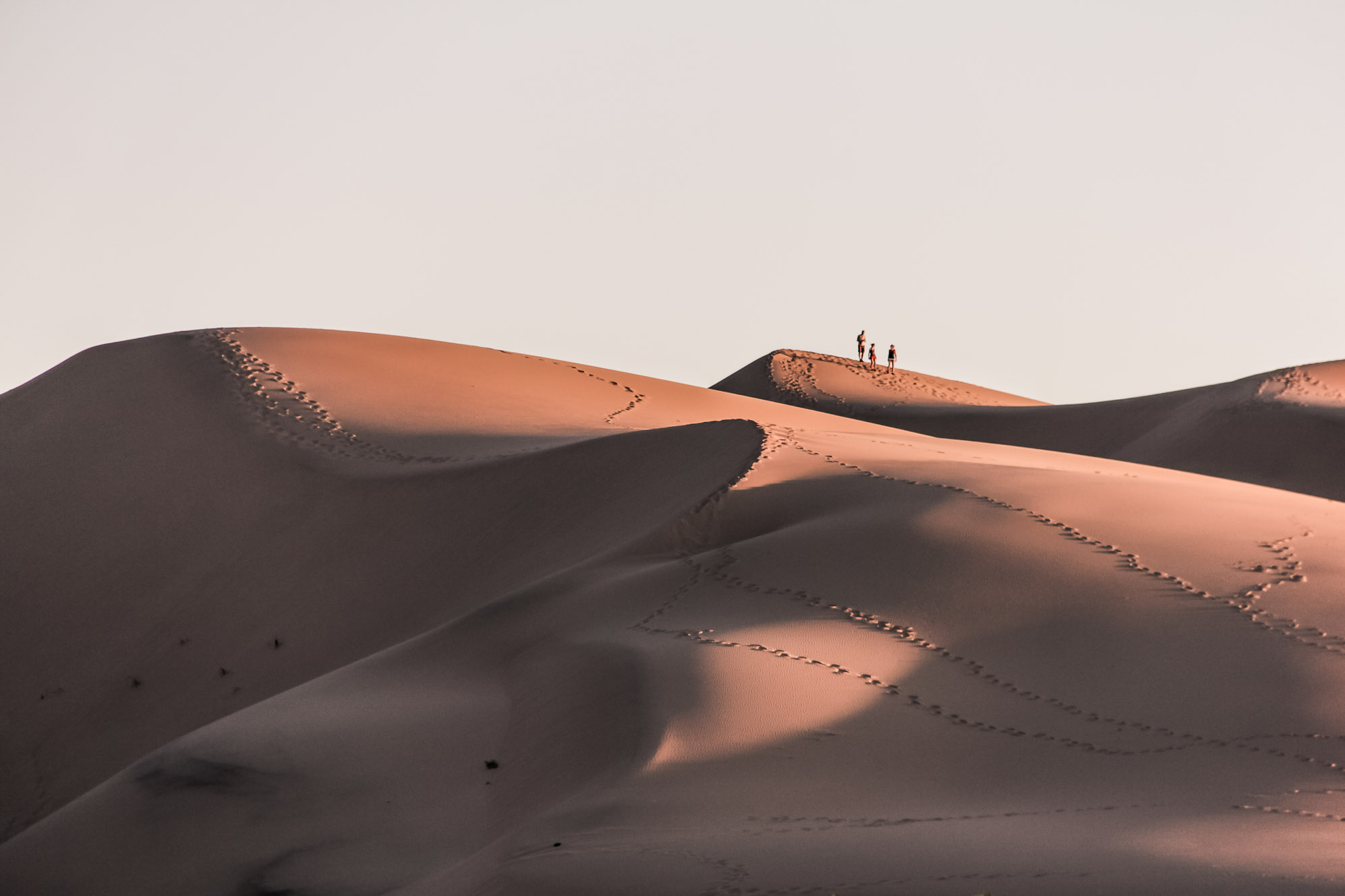 Coucher du soleil sur les Dunes du Gobi